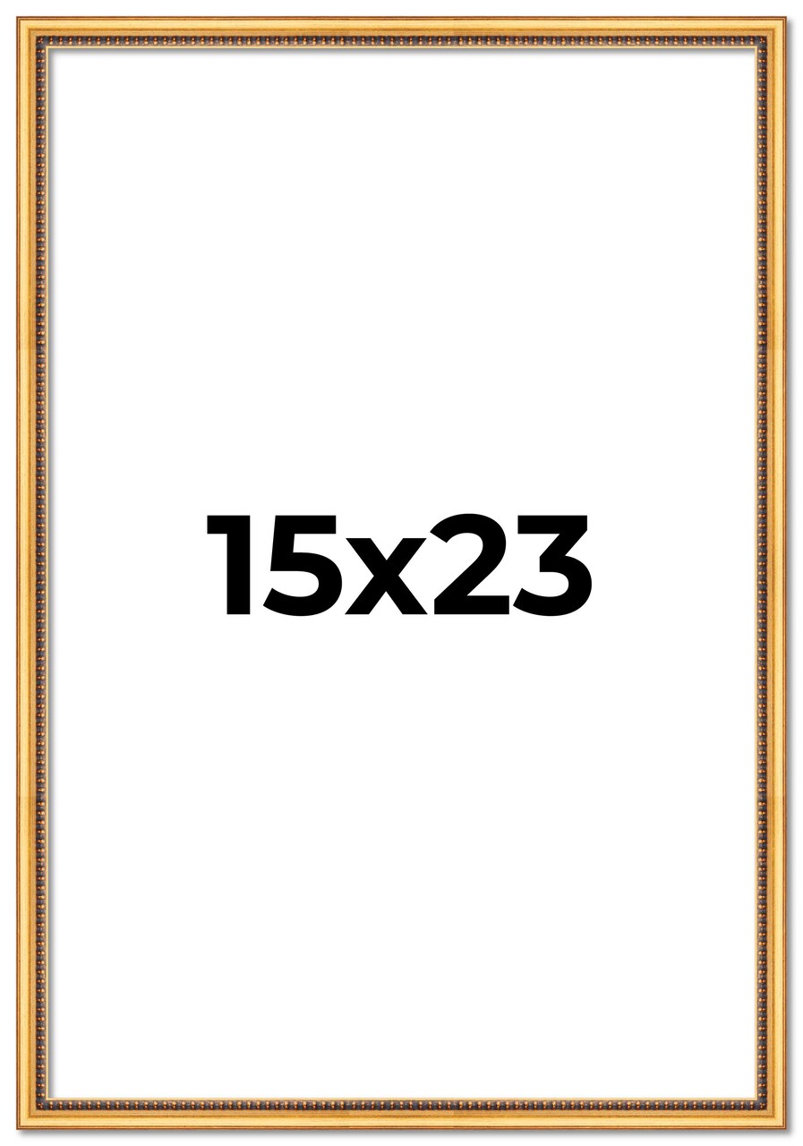 15x23 Classic Modern Gold Picture Frame - UV Acrylic, Foam Board Backing, Hanging Hardware